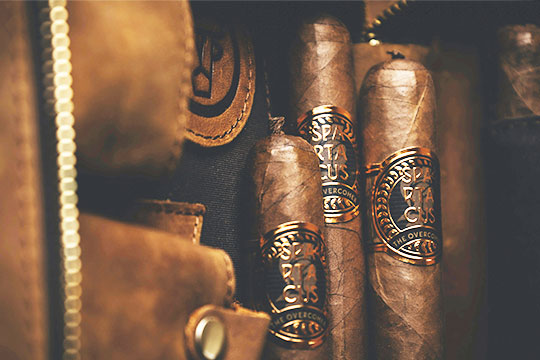 Jarvis Cigar Club, Charutos Premium